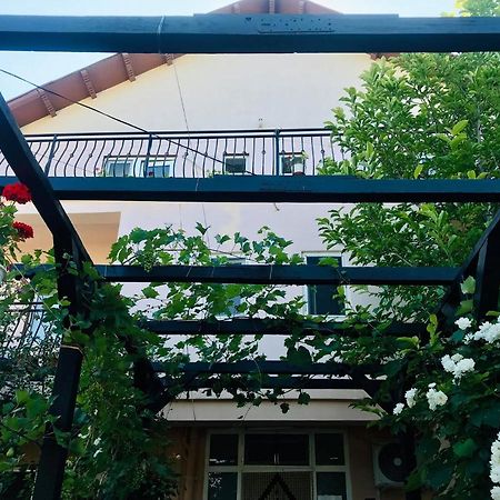 Отель Vila A&S Костинешти Экстерьер фото