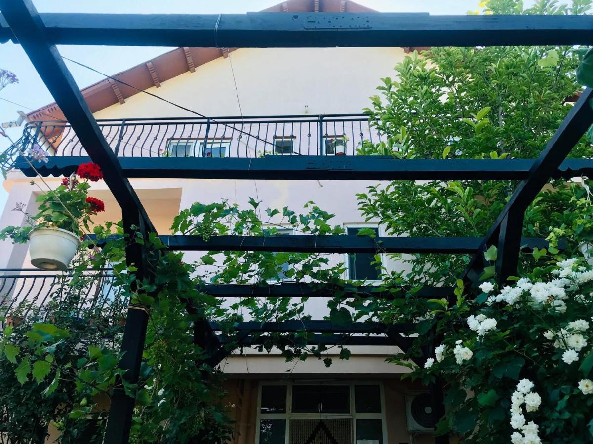 Отель Vila A&S Костинешти Экстерьер фото