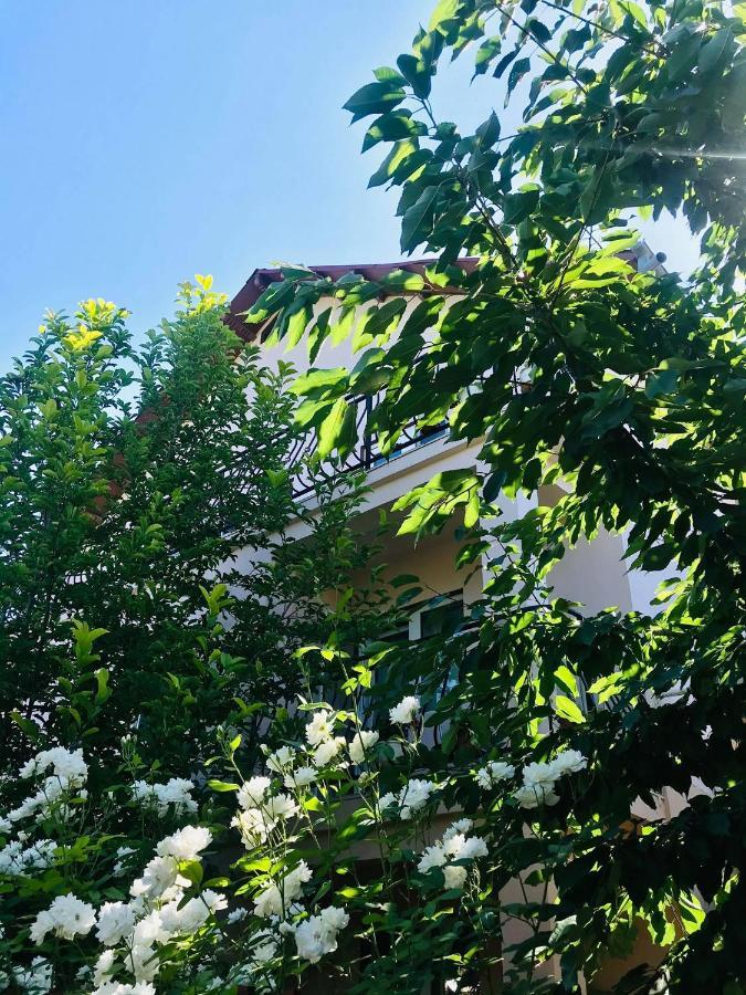 Отель Vila A&S Костинешти Экстерьер фото